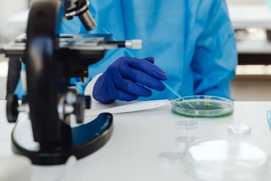Agriculture régénératrice : nourrir le futur