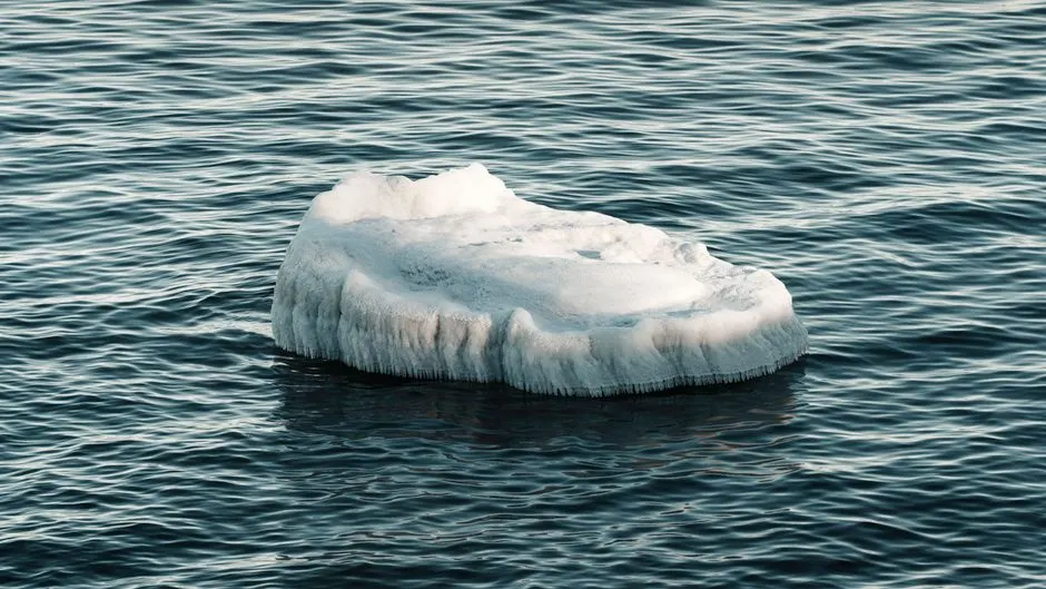 anomalie froide atlantique
