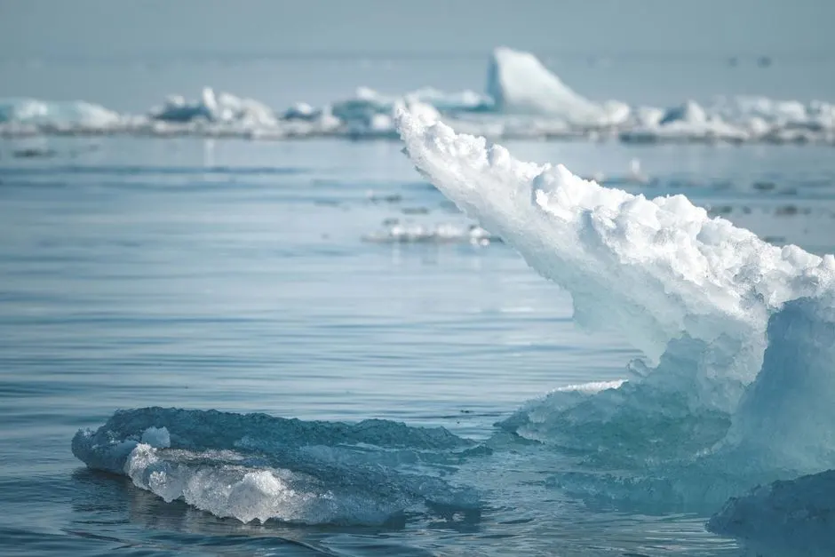 anomalie froide atlantique