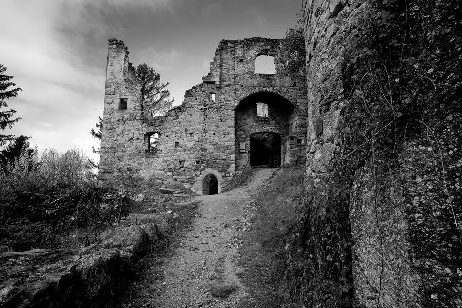 ARN ancien : Découverte chez un mammouth laineux de 40 000 ans