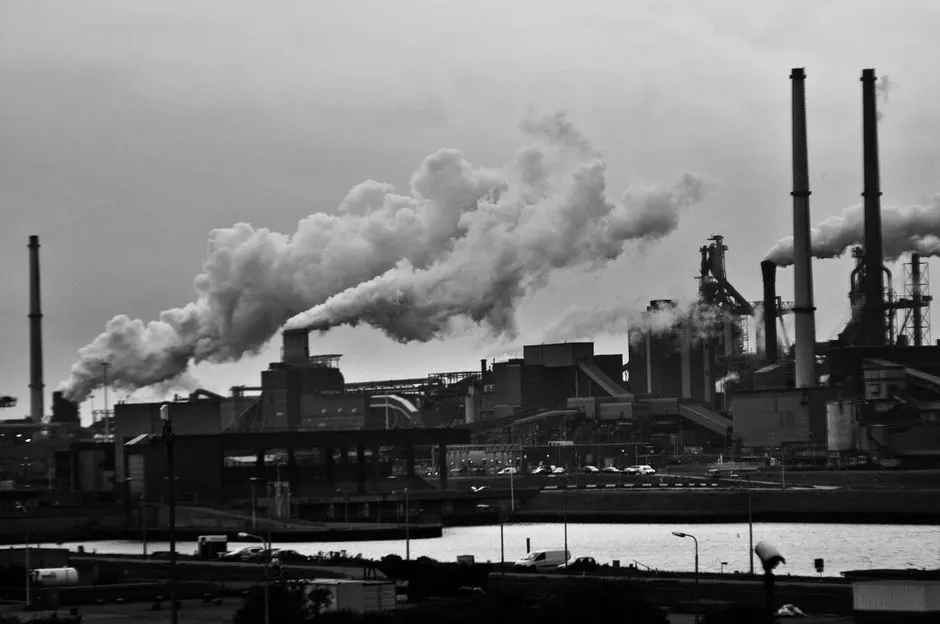 bactérie mangeuse polluants éternels