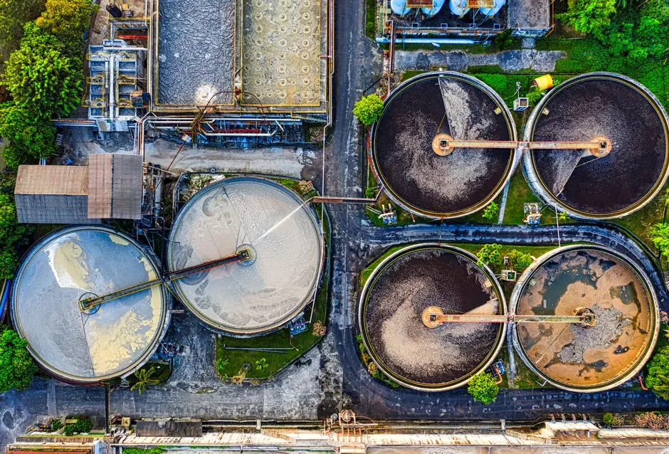 Polluants éternels : une bactérie mangeuse découverte !