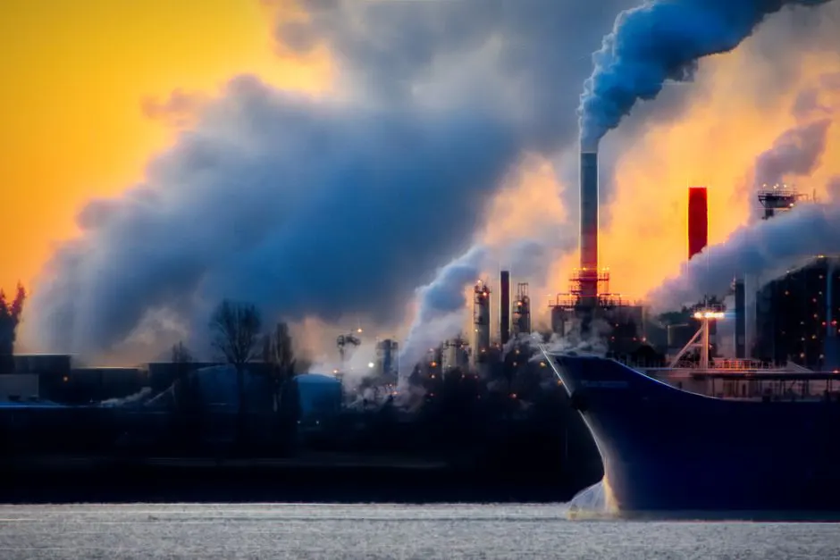 bactérie pfas polluants éternels