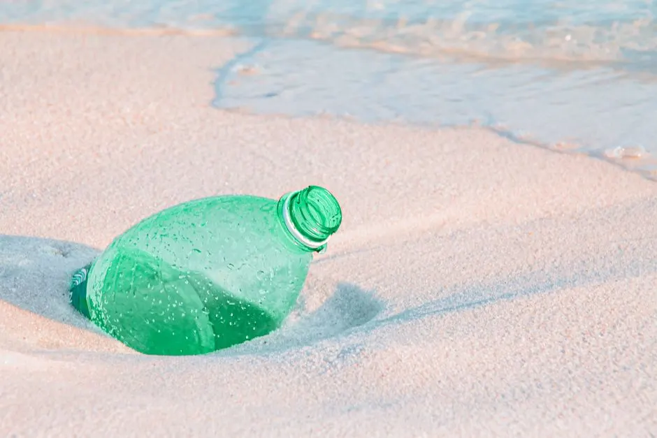 bactérie polluants eternel