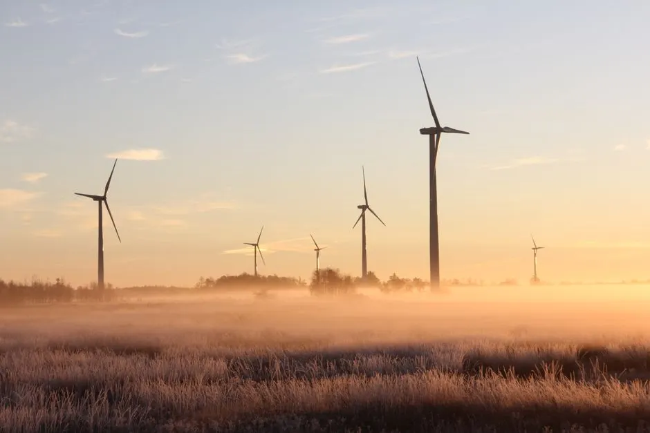 COP30 : Entre espoirs déçus et timides avancées