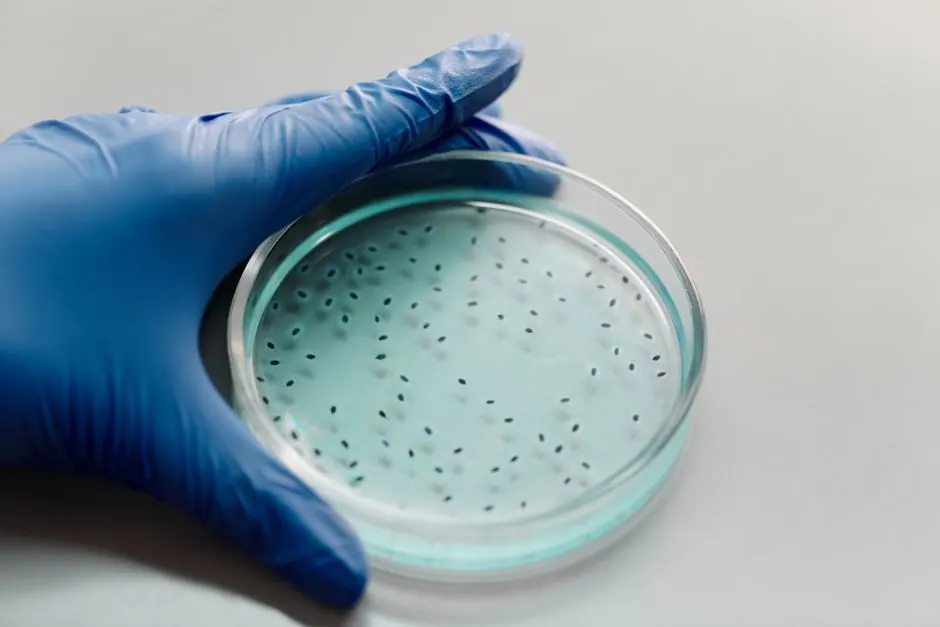 Biodiversité microbienne : le pilier invisible des écosystèmes