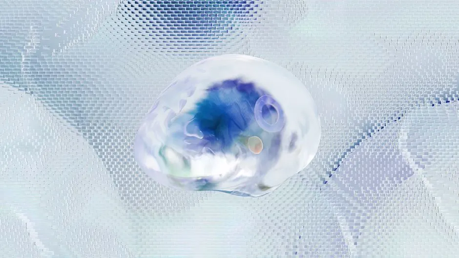 cerveau droit cerveau gauche