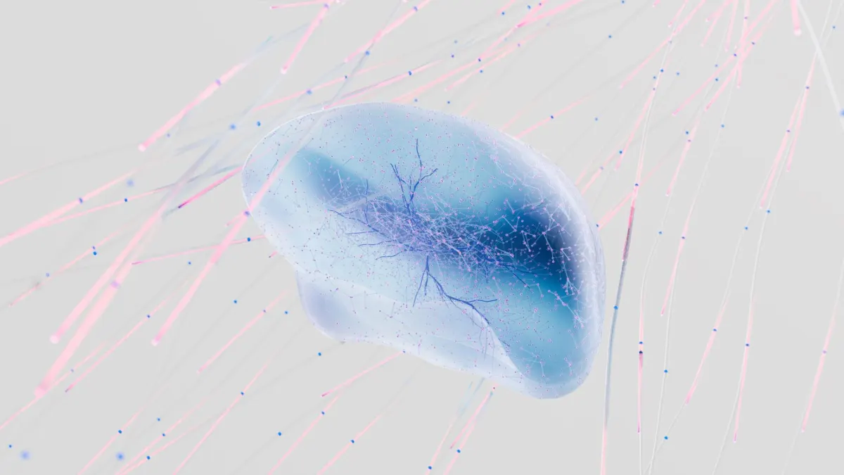 Cerveau humain : nombre de neurones et leur rôle