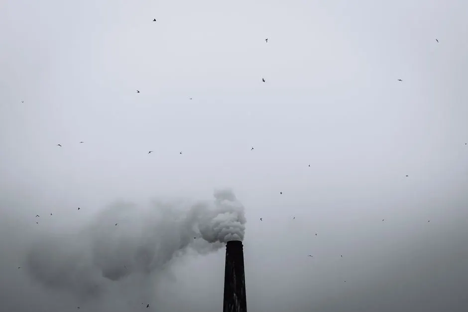 comment capter stocker co2