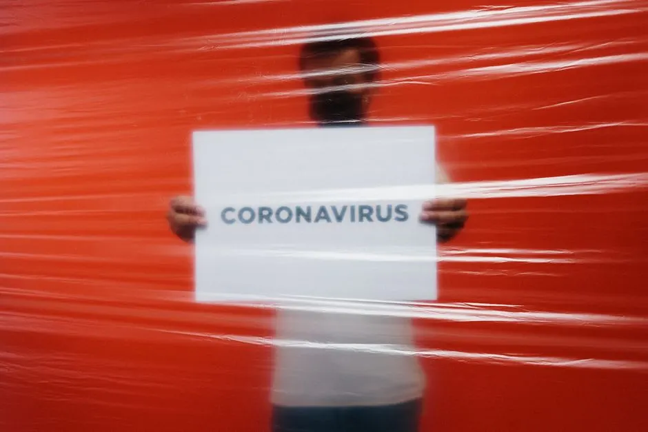 Défense bactérienne : les virus anciens à la rescousse !