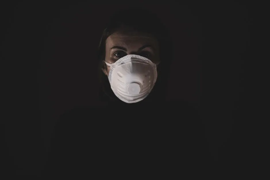 épidémie chikungunya métropole