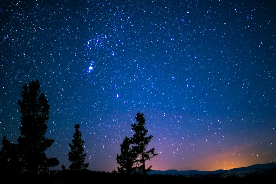 étoiles bosoniques