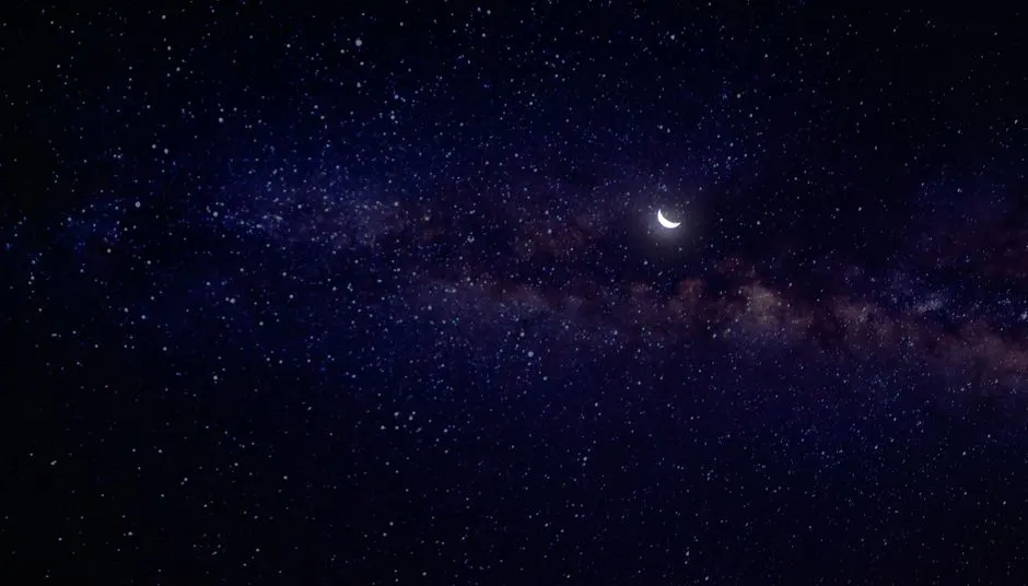 Étoiles bosoniques : vestiges cannibales du Big Bang ?