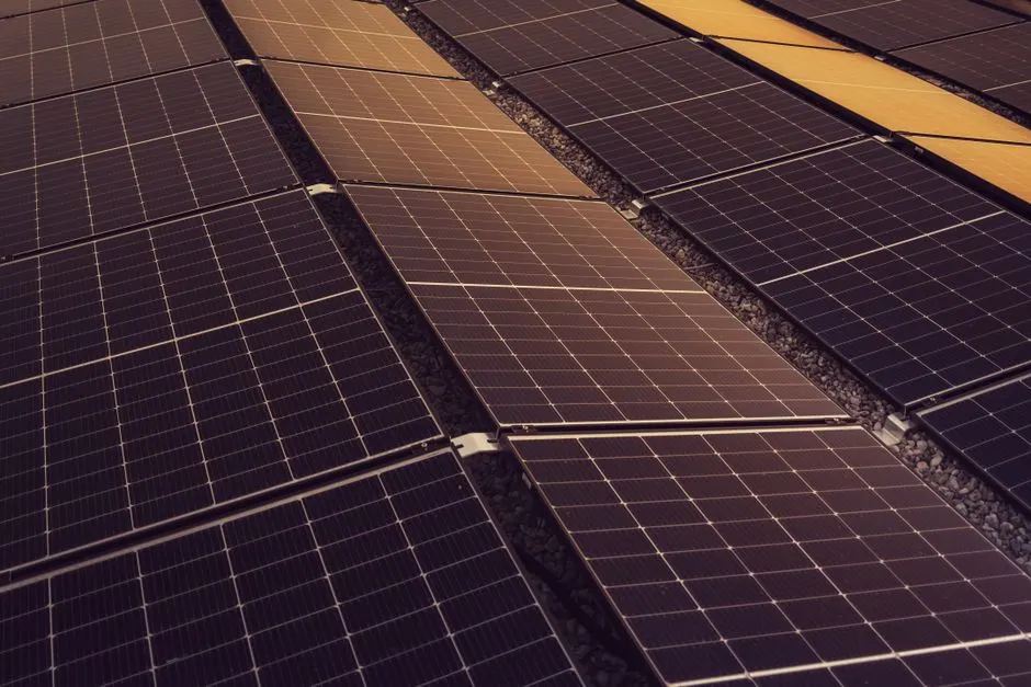 Feuille artificielle : transformer la pollution en énergie
