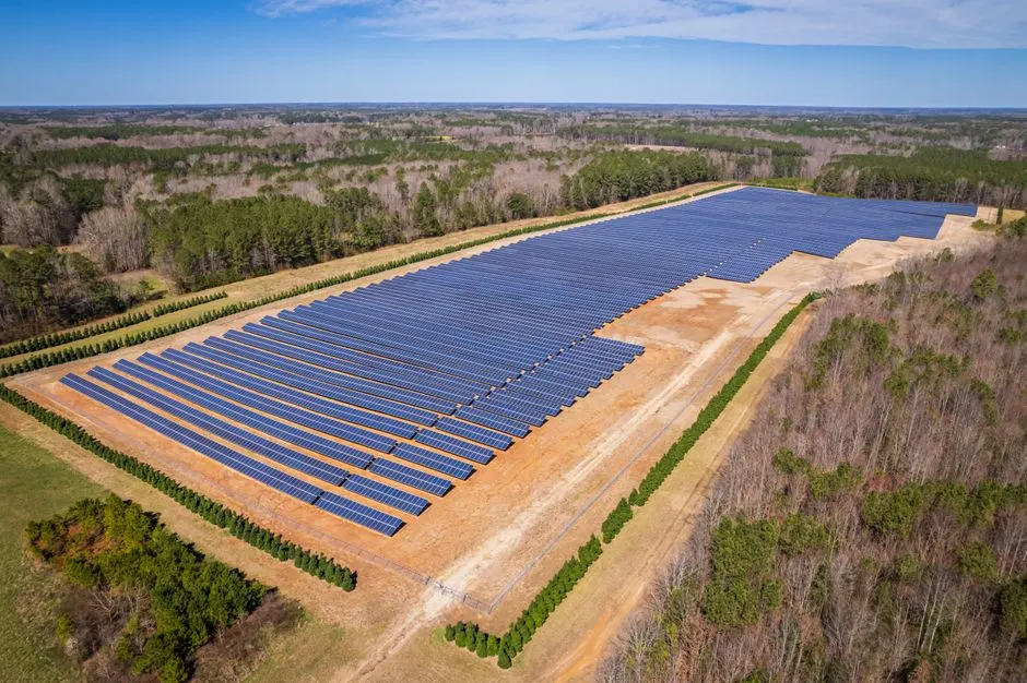 Feuille artificielle : une révolution verte pour le CO2 ?