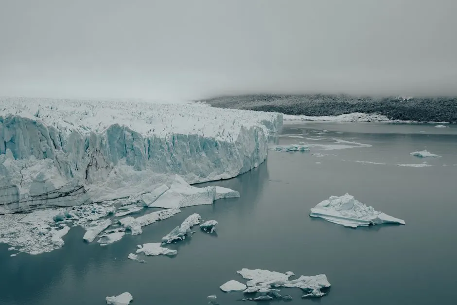 fonte glaciers antarctique