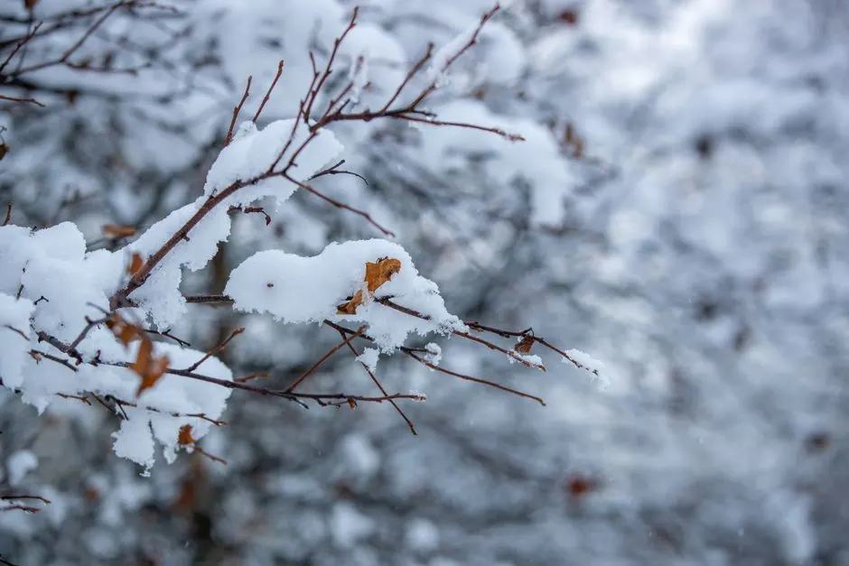Forte tempête hivernale : comment s’y préparer aux USA ?