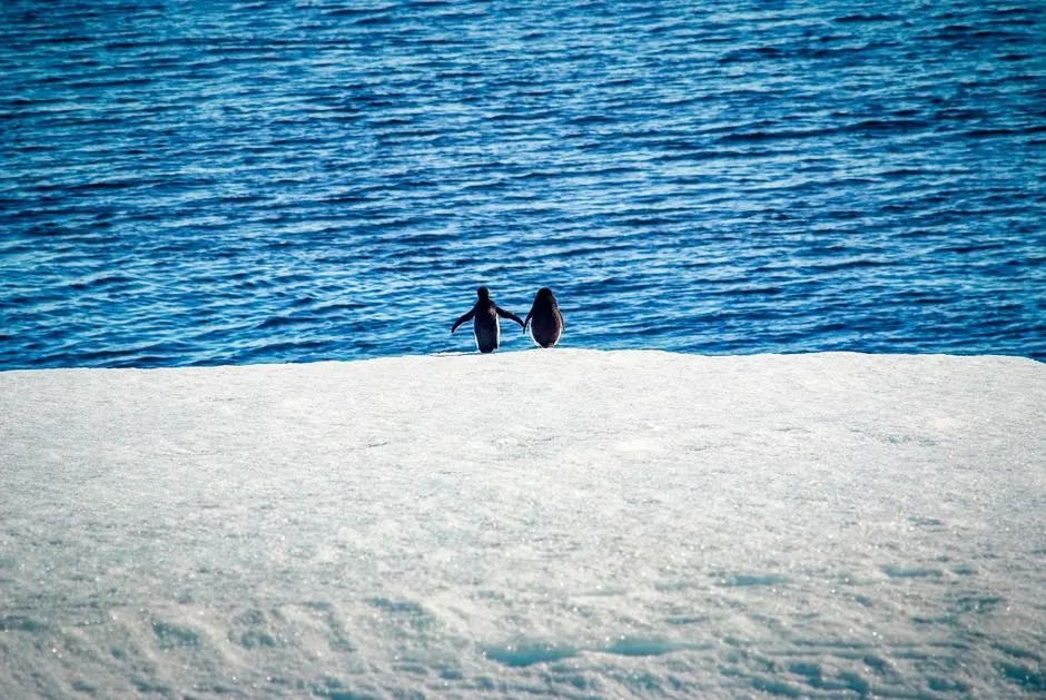 Glace Antarctique: Archive du Climat Vieux de 6 Millions d’Années