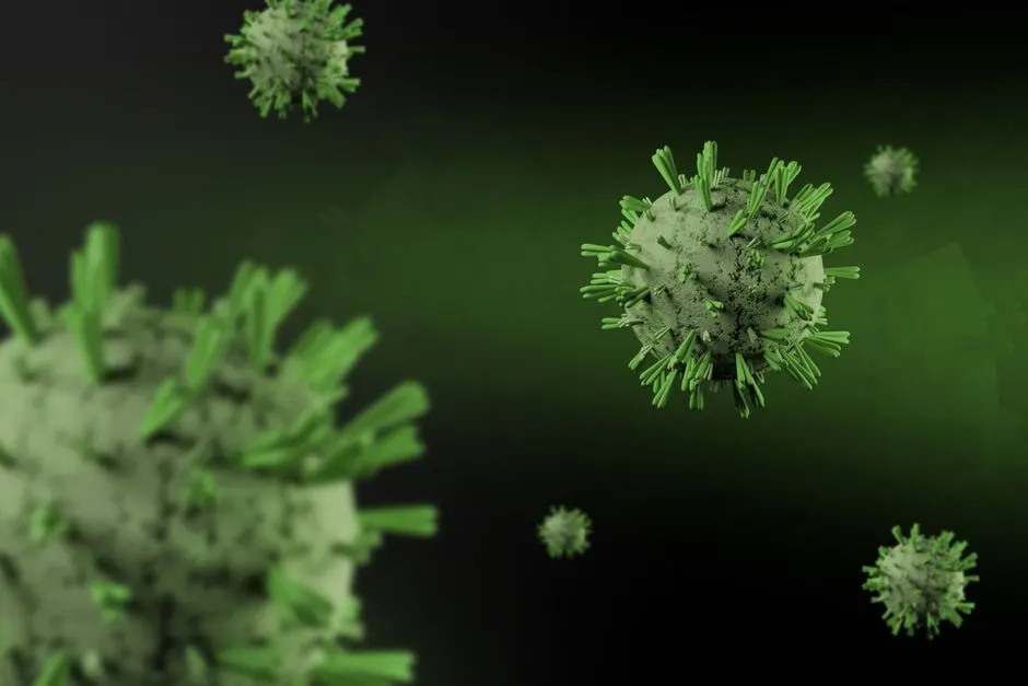 evolution systemes immunitaires