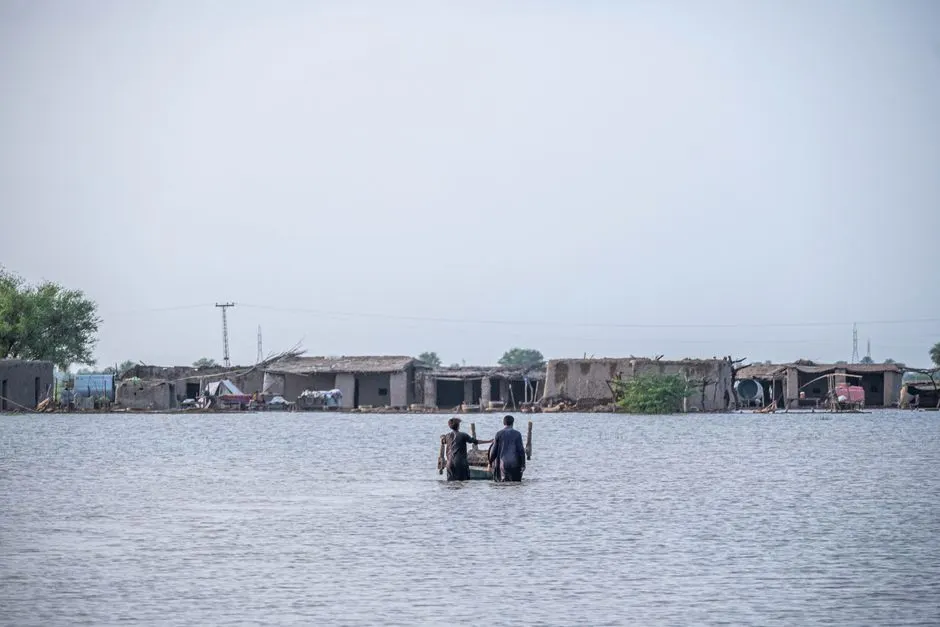 Inondations extrêmes : la production de riz menacée ?