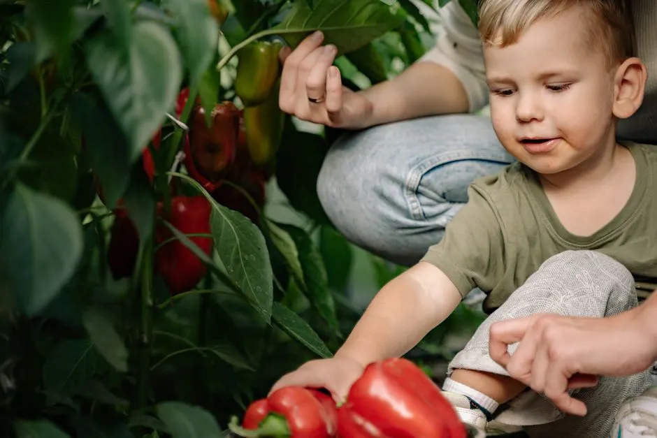 Interdiction des pesticides : pourquoi persistent-ils ?