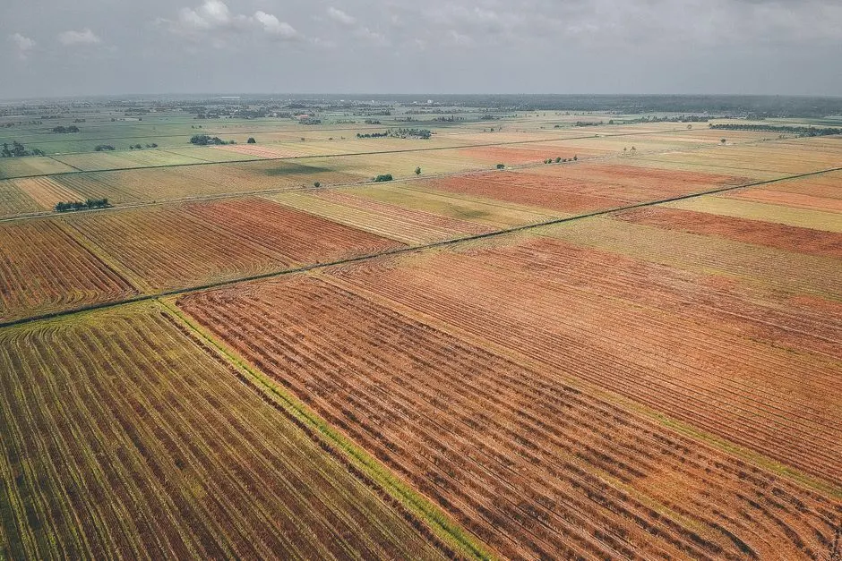 terres agricoles béton