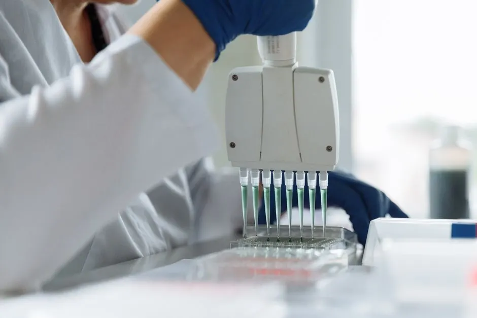 Microbiote intestinal : l’allié secret de votre santé