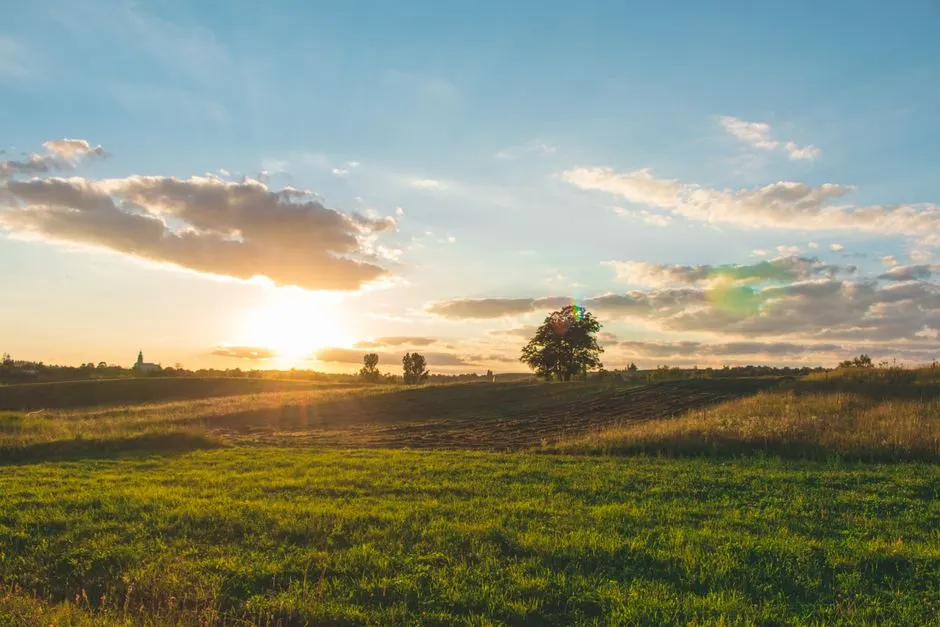 Modèles climatiques : l’avenir entre nos mains ?