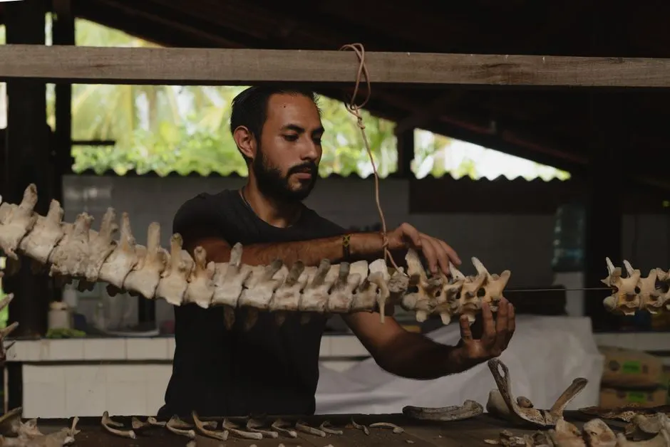 Momies : L’humanité révélée au Musée de l’Homme