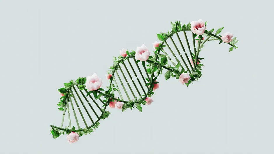 neurones artificiels