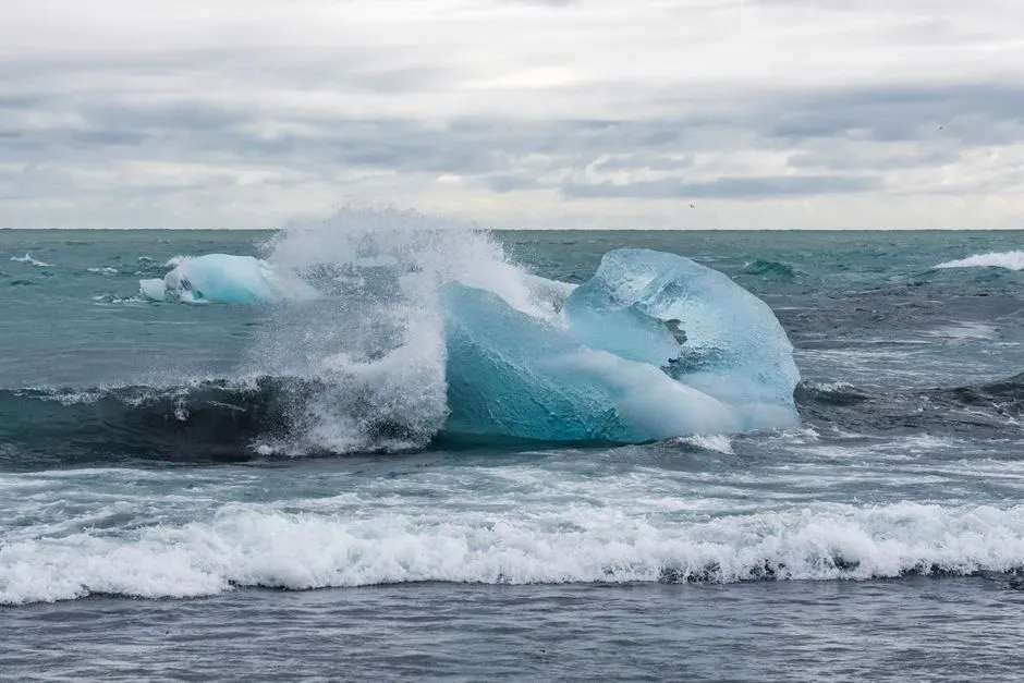 océan Antarctique carbone hivernal