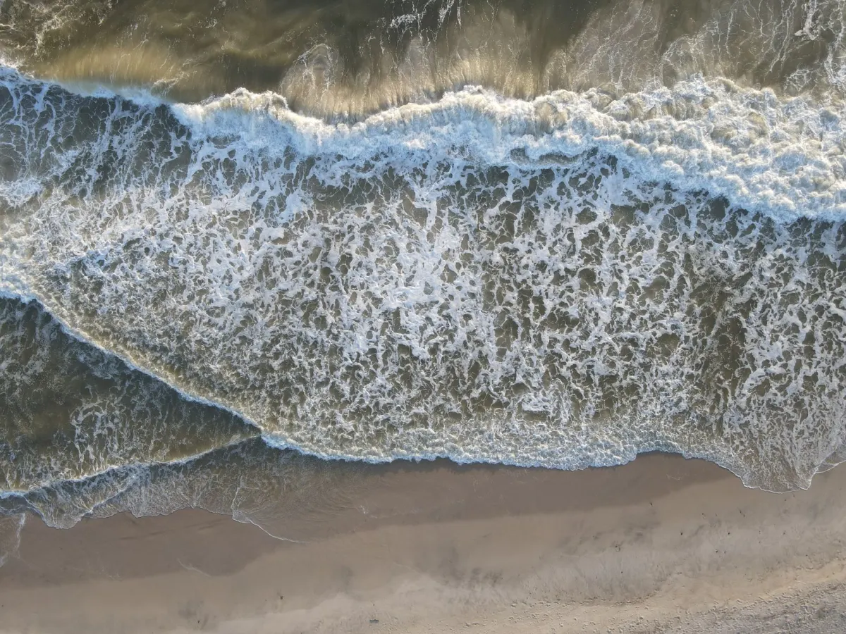 Océan Atlantique : géographie, vie marine et enjeux majeurs