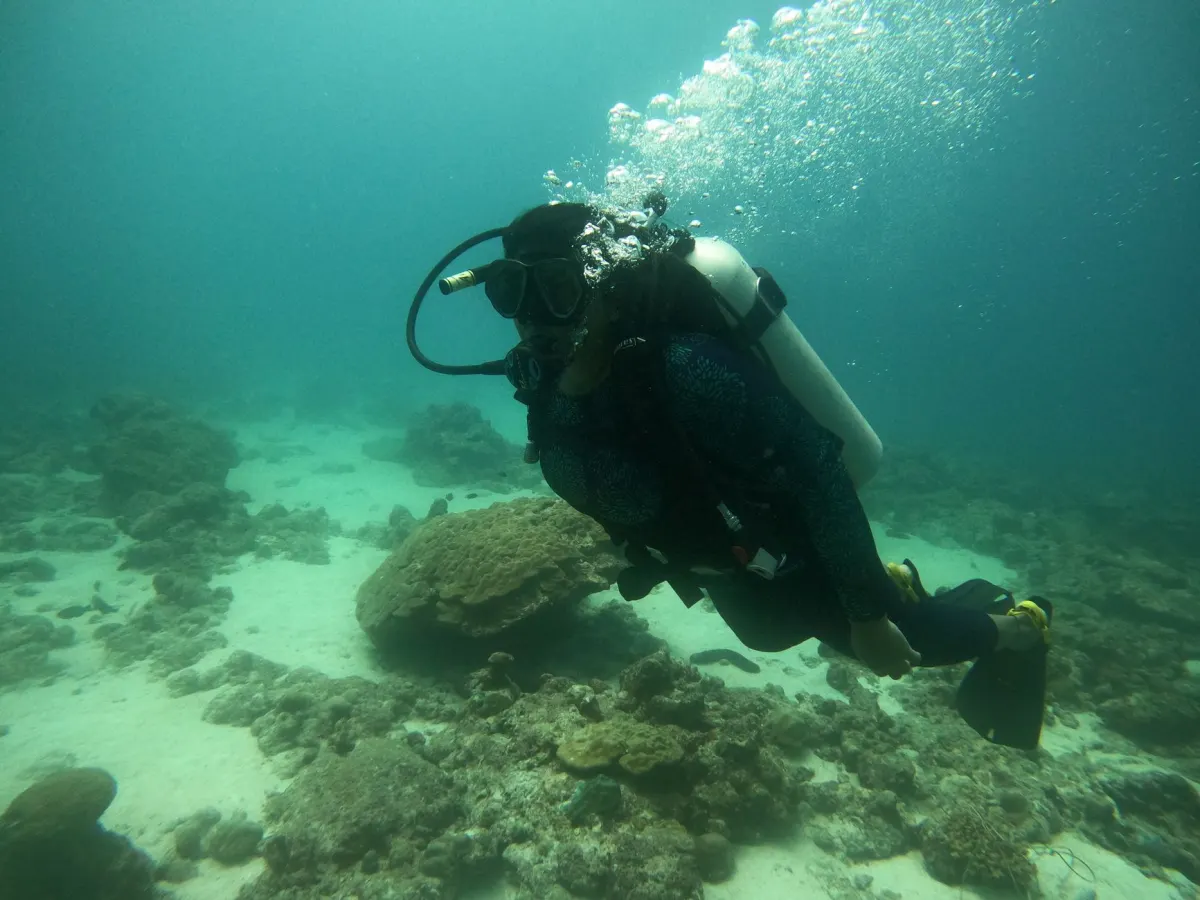Océan Indien : biodiversité, courants marins et enjeux climatiques