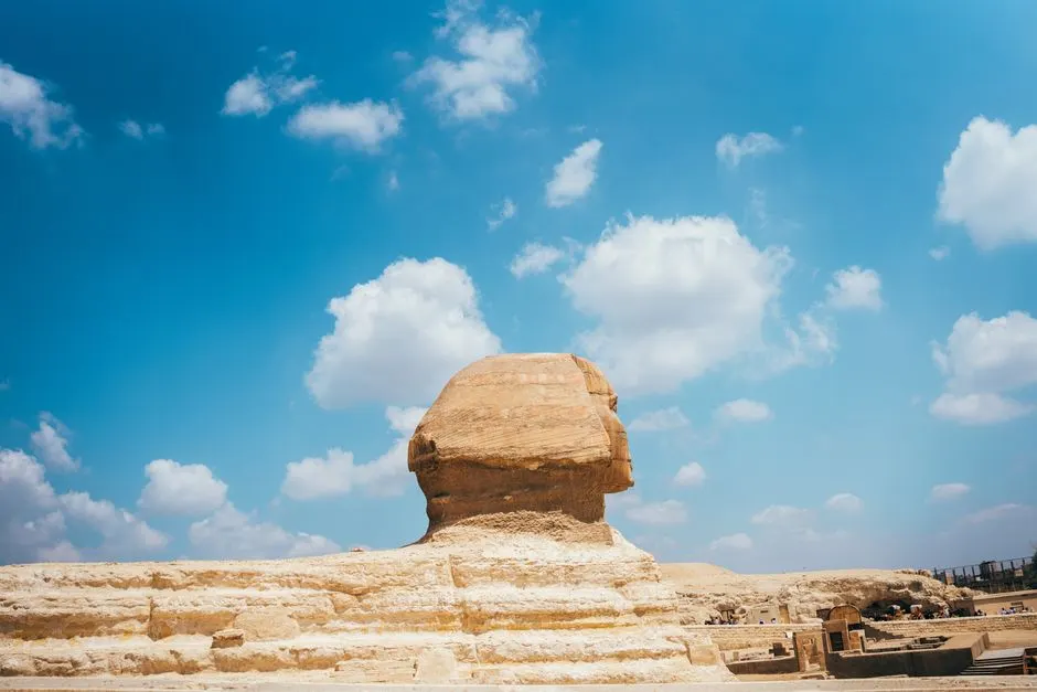 Opium dans la tombe de Toutankhamon : Mythe ou réalité ?