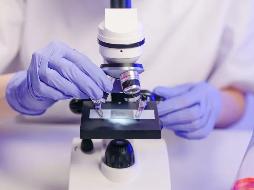 Optimisation : trouver la solution idéale