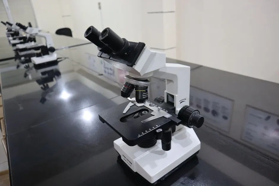 optique non linéaire nanométrique