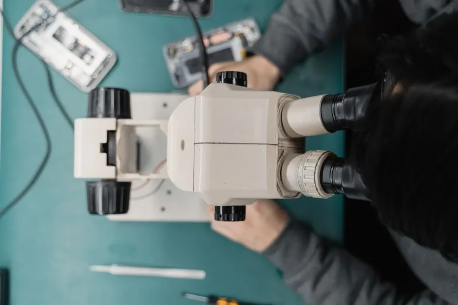 Organes sur puce : l’essor des vaisseaux sanguins artificiels