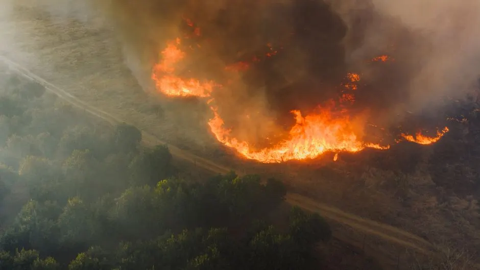 Pollution des feux de forêt : un impact sous-estimé ?