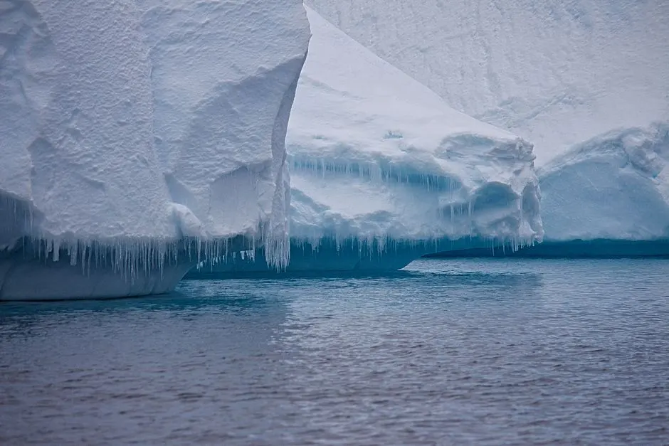 Pourquoi le krill d’Antarctique attise-t-il les tensions ?
