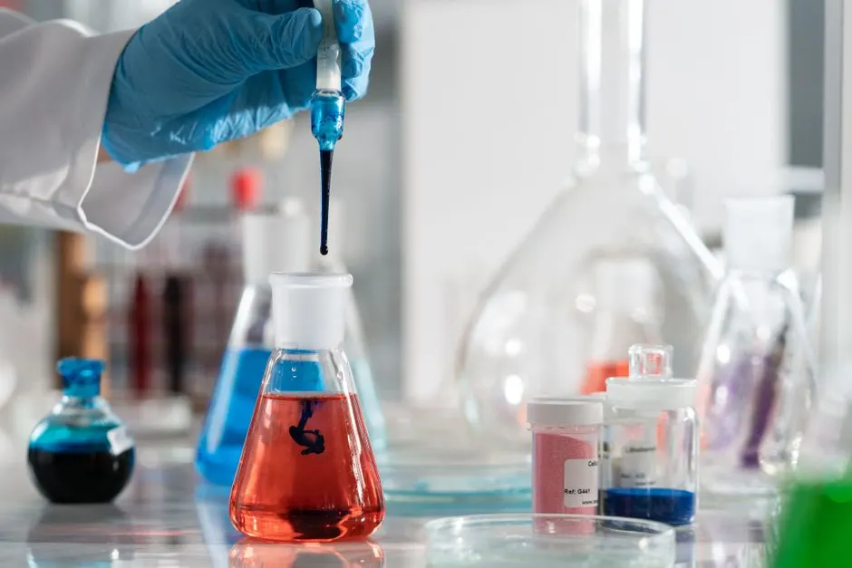 Réseaux neuronaux profonds : comment apprennent-ils ?