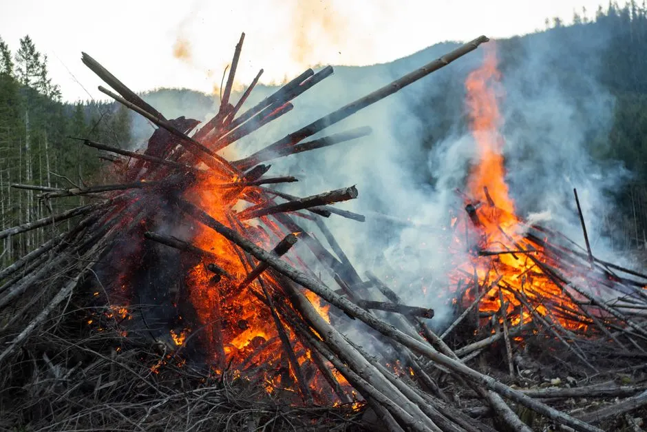 suppression incendies aggrave feux