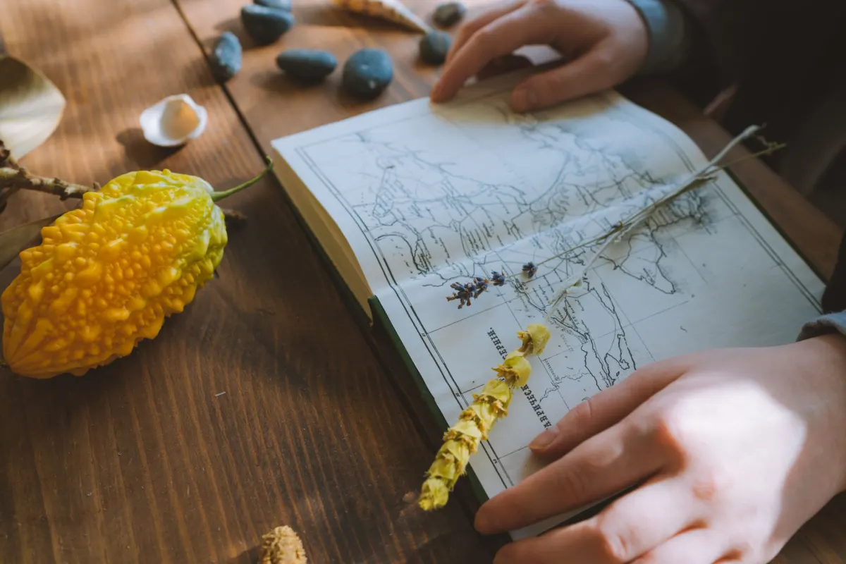 Quand la Terre se fissurera‑t‑elle au Nord‑Ouest du Pacifique ?
