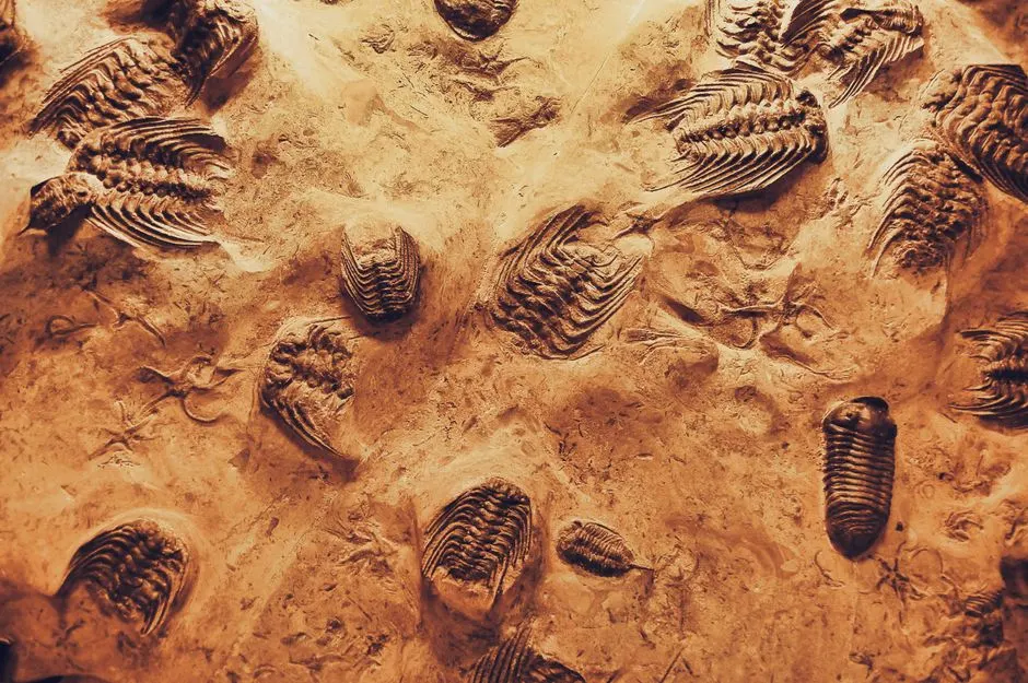 Traces de vie : découverte de chimie ancienne sur Terre