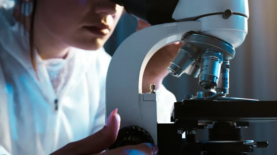 Venin de scorpion d’Amazonie : une arme anti cancer du sein ?